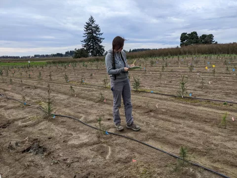 Emily at Aurora site