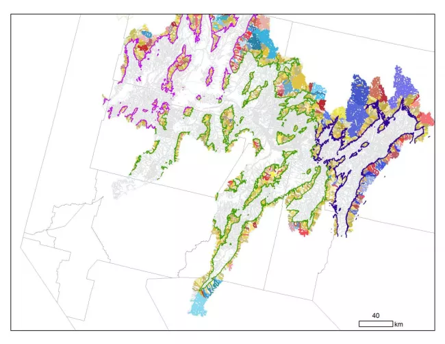Elevation by latitude Lahonton Cutthroat distribution