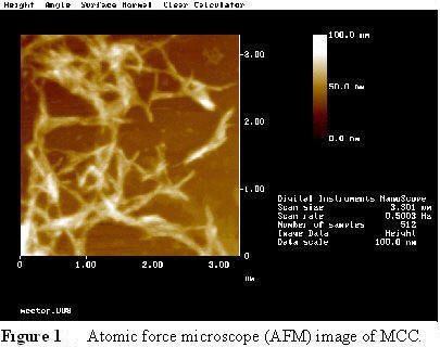 Fig. 1: Atomic force microscope (AFM) image of MCC