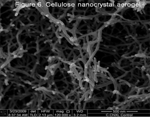 Fig. 6: Cellulose nancrystal aerogel
