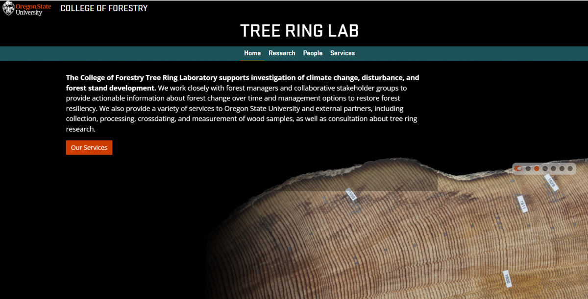 Tree Ring Lab early screenshot