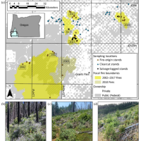 The early seral forest biodiversity project