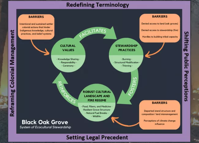 Infographic from Jessie Thoreson's MS Thesis