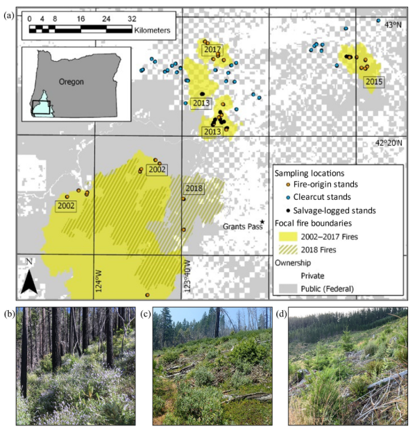 The early seral forest biodiversity project